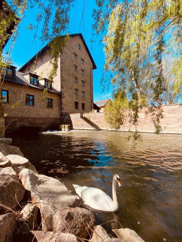 Hotel-Spa Le Moulin De La Wantzenau - Strasbourg Nord Exterior foto